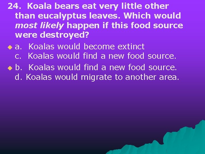 24. Koala bears eat very little other than eucalyptus leaves. Which would most likely