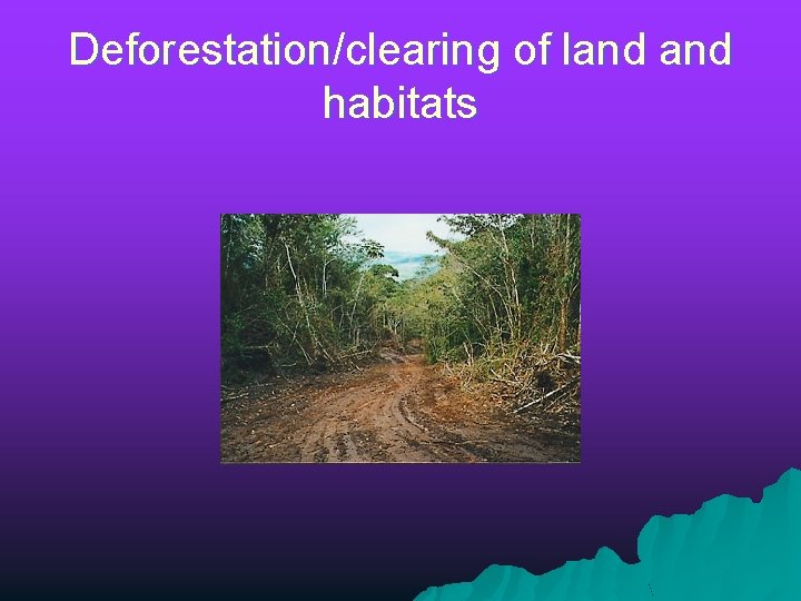 Deforestation/clearing of land habitats 