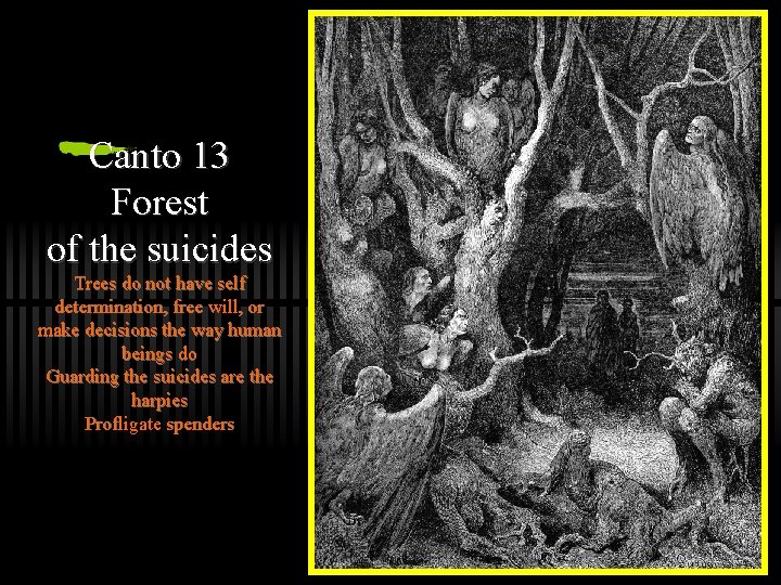 Canto 13 Forest of the suicides Trees do not have self determination, free will,