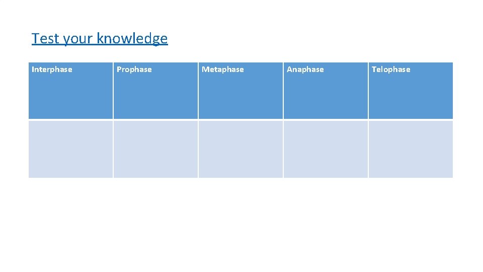 Test your knowledge Interphase Prophase Metaphase Anaphase Telophase 