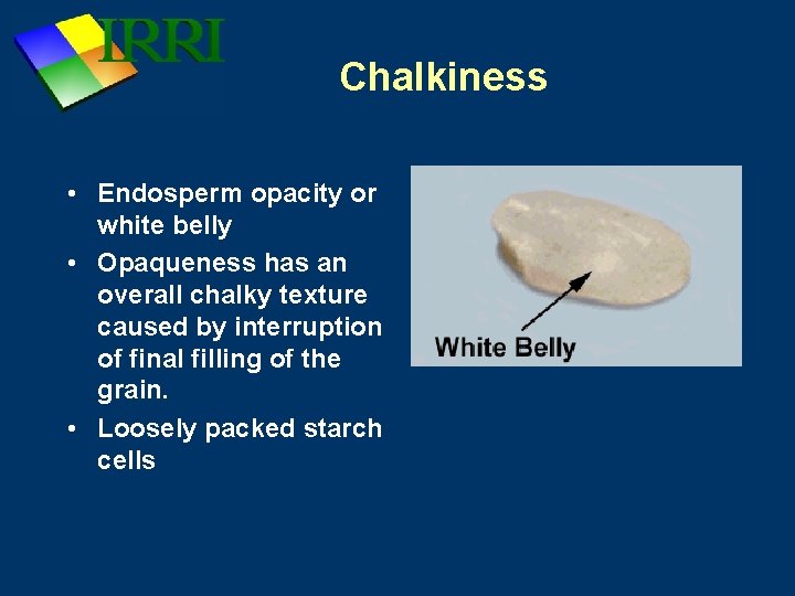 Chalkiness • Endosperm opacity or white belly • Opaqueness has an overall chalky texture