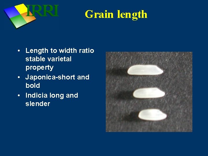 Grain length • Length to width ratio stable varietal property • Japonica-short and bold