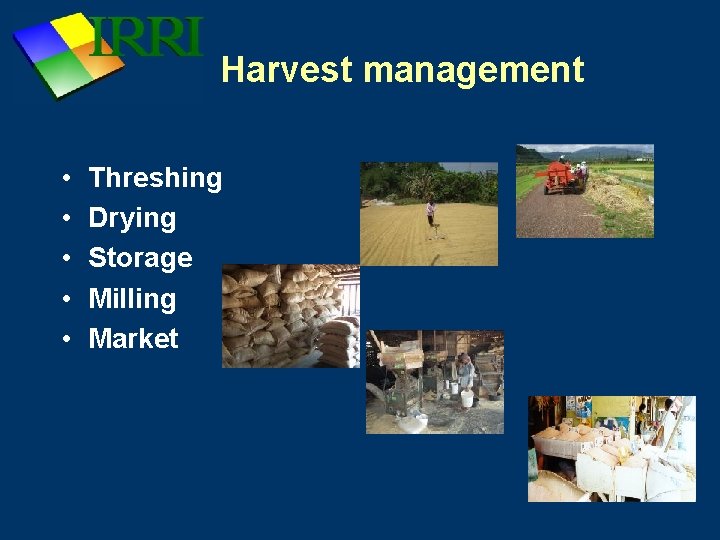 Harvest management • • • Threshing Drying Storage Milling Market 