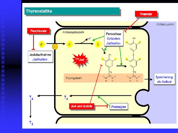 thyreostatika 