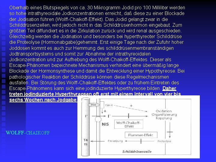 Oberhalb eines Blutspiegels von ca. 30 Mikrogramm Jodid pro 100 Milliliter werden so hohe