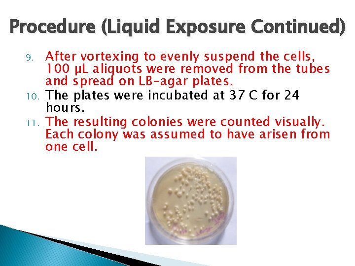 Procedure (Liquid Exposure Continued) 9. 10. 11. After vortexing to evenly suspend the cells,