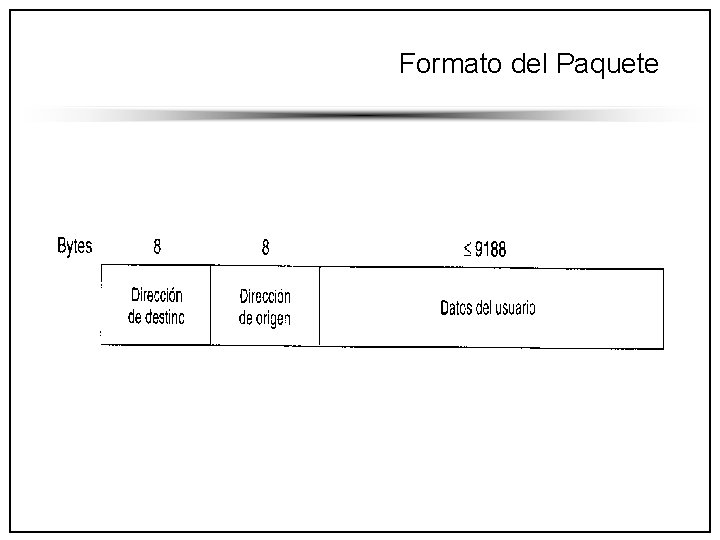 Formato del Paquete 