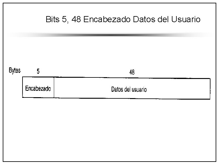 Bits 5, 48 Encabezado Datos del Usuario 