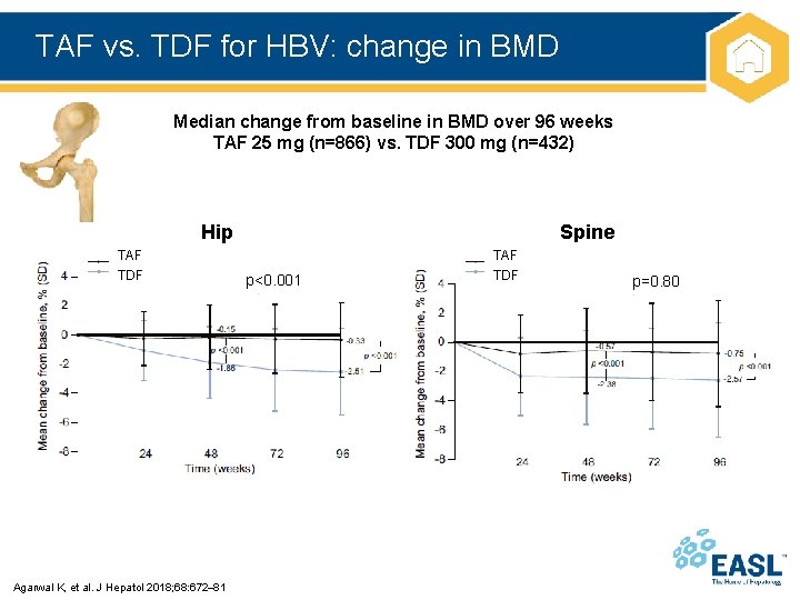 TAF vs. TDF for HBV: change in BMD Median change from baseline in BMD