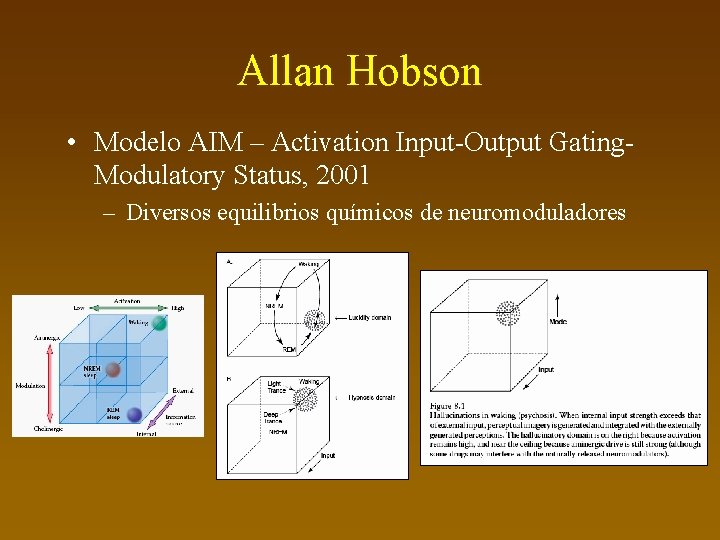 Allan Hobson • Modelo AIM – Activation Input-Output Gating. Modulatory Status, 2001 – Diversos