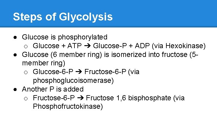 Steps of Glycolysis ● Glucose is phosphorylated o Glucose + ATP ➔ Glucose-P +