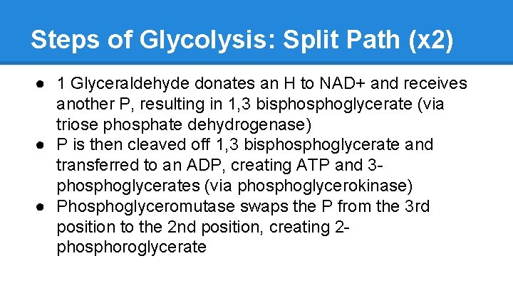 Steps of Glycolysis: Split Path (x 2) ● 1 Glyceraldehyde donates an H to