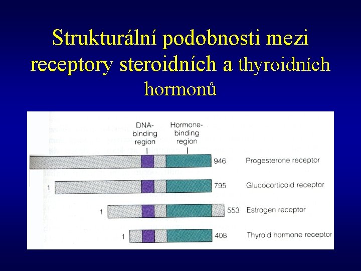 Strukturální podobnosti mezi receptory steroidních a thyroidních hormonů 