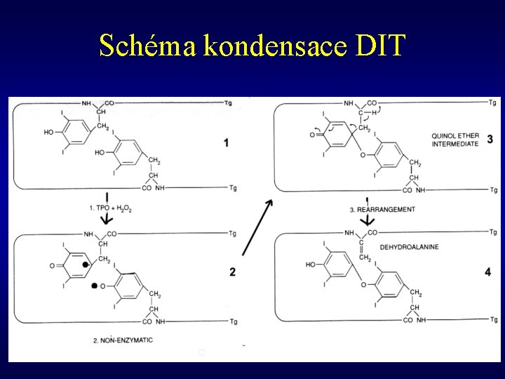 Schéma kondensace DIT 