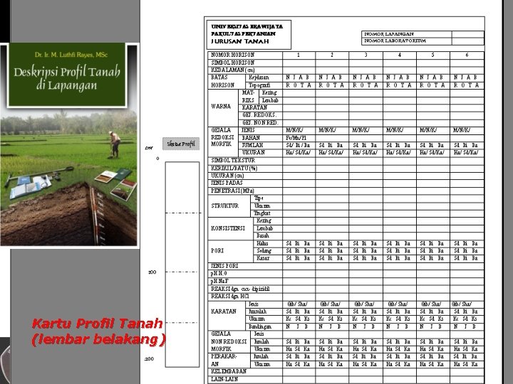 Kartu Profil Tanah (lembar belakang) M. LUTHFI RAYES JURUSAN TANAH UB 