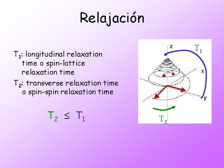 Relajación T 1: longitudinal relaxation time o spin-lattice relaxation time T 2: transverse relaxation