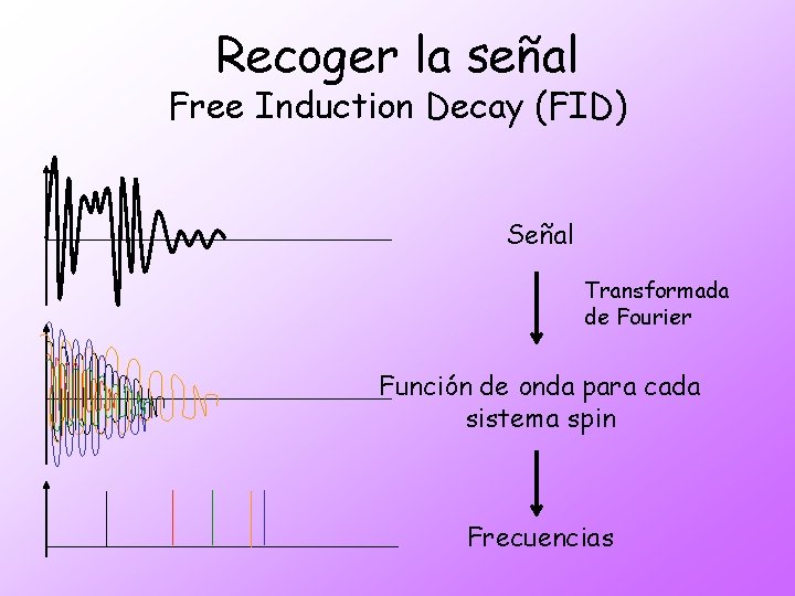 Recoger la señal Free Induction Decay (FID) Señal Transformada de Fourier Función de onda