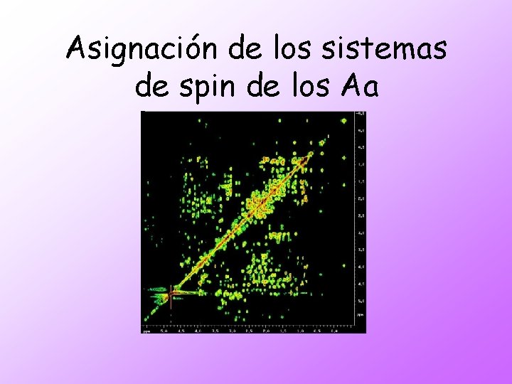 Asignación de los sistemas de spin de los Aa 