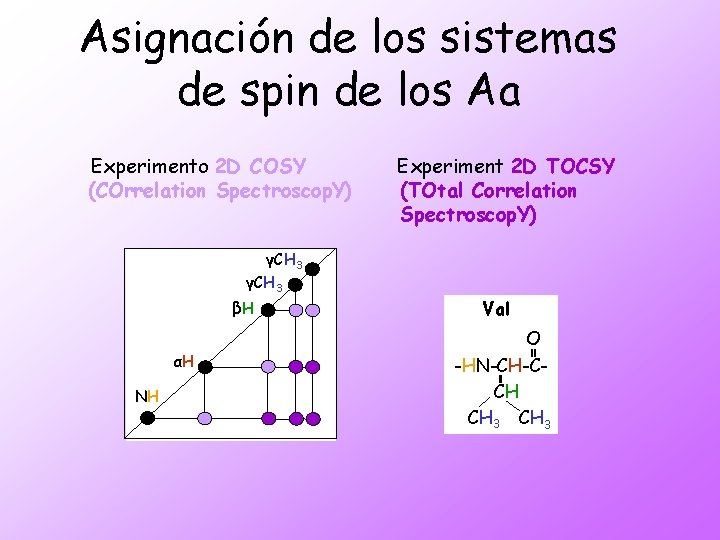 Asignación de los sistemas de spin de los Aa Experimento 2 D COSY (COrrelation