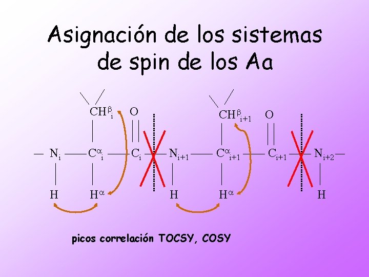 Asignación de los sistemas de spin de los Aa CHbi O Ni C ai