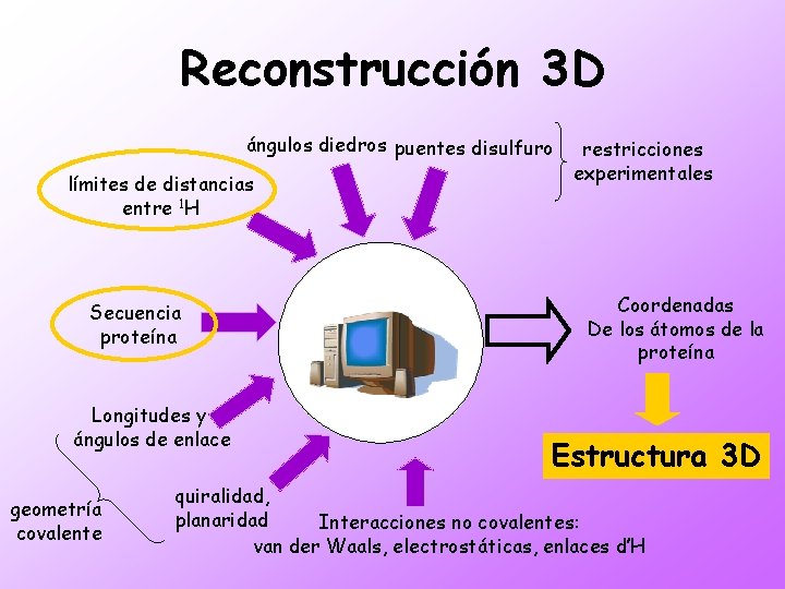Reconstrucción 3 D ángulos diedros puentes disulfuro límites de distancias entre 1 H Secuencia