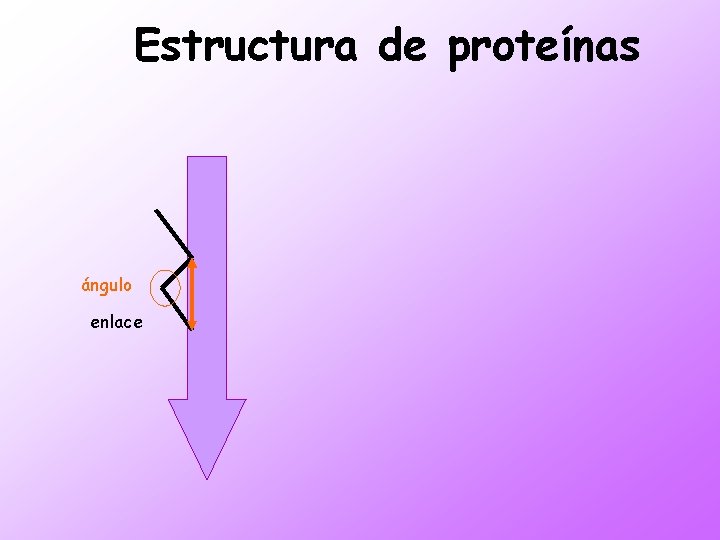 Estructura de proteínas ángulo enlace 