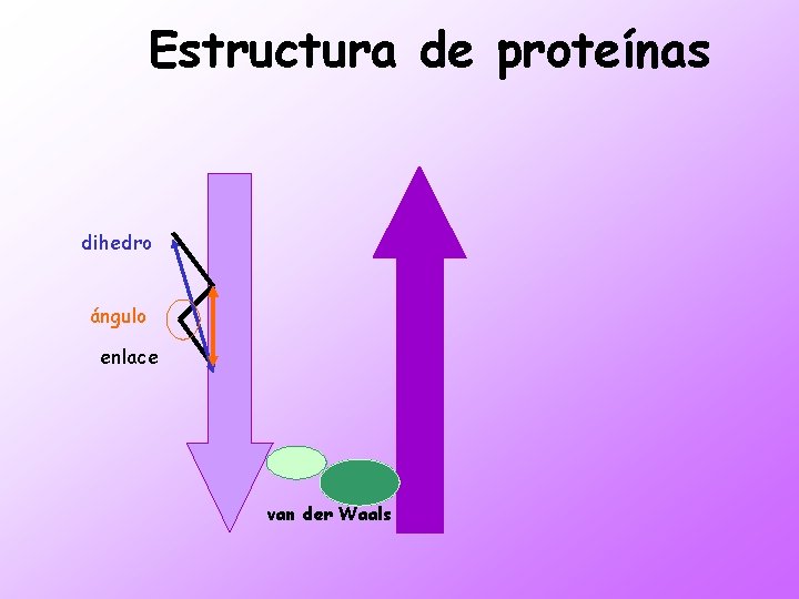 Estructura de proteínas dihedro ángulo enlace van der Waals 