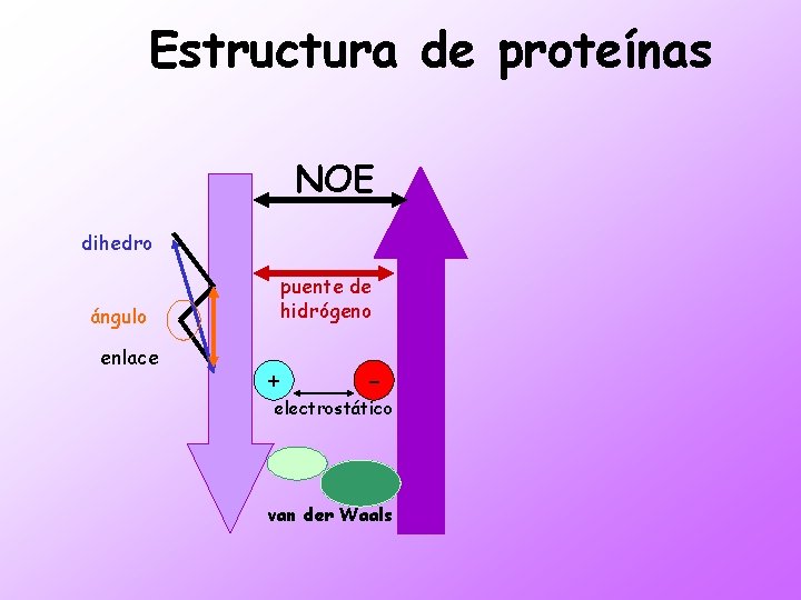 Estructura de proteínas NOE dihedro ángulo enlace puente de hidrógeno + - electrostático van