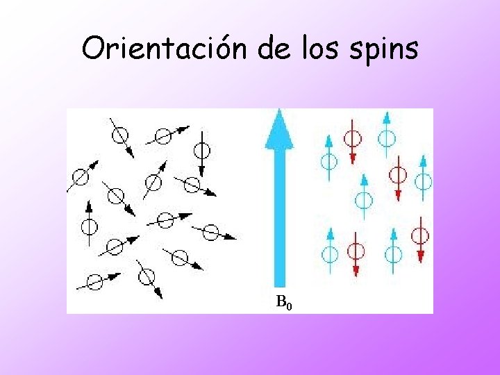 Orientación de los spins B 0 