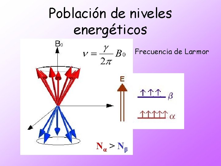 Población de niveles energéticos Frecuencia de Larmor Nα > Nβ 