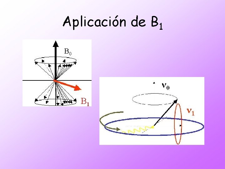 Aplicación de B 1 B 0 B 1 