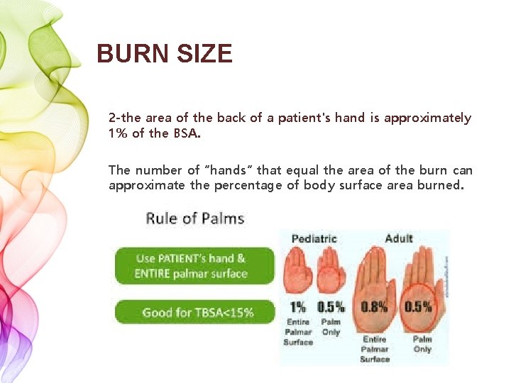 BURN SIZE 2 -the area of the back of a patient's hand is approximately