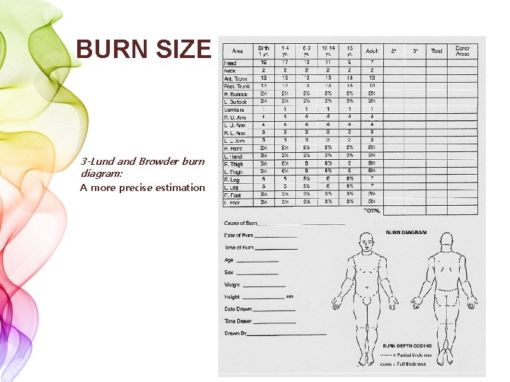 BURN SIZE 3 -Lund and Browder burn diagram: A more precise estimation 