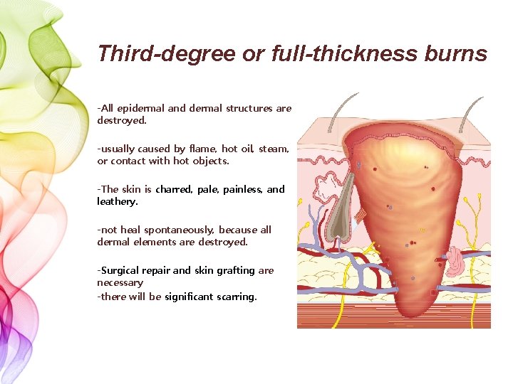 Third-degree or full-thickness burns -All epidermal and dermal structures are destroyed. -usually caused by