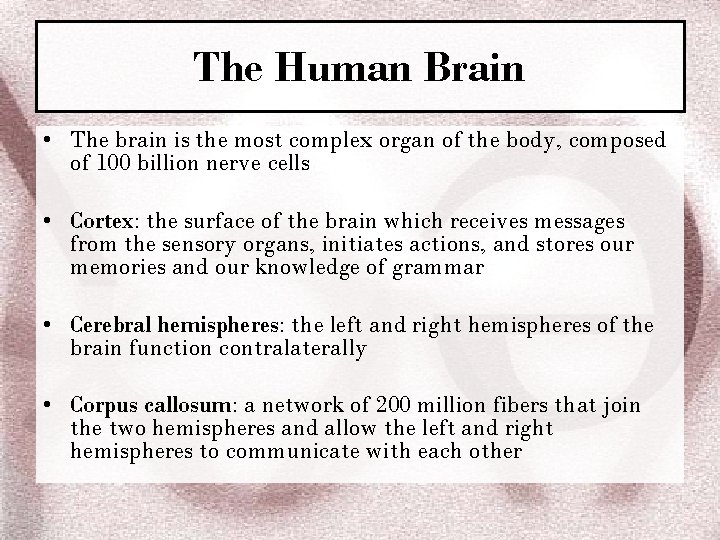 The Human Brain • The brain is the most complex organ of the body,