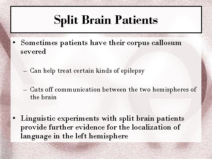 Split Brain Patients • Sometimes patients have their corpus callosum severed – Can help