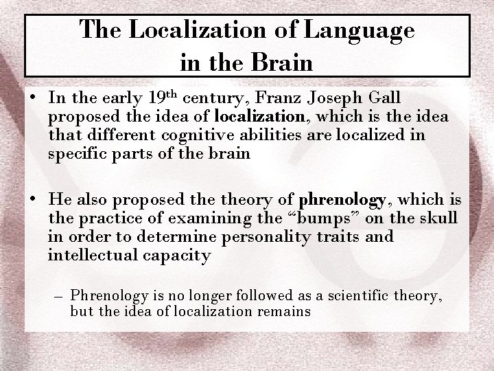 The Localization of Language in the Brain • In the early 19 th century,