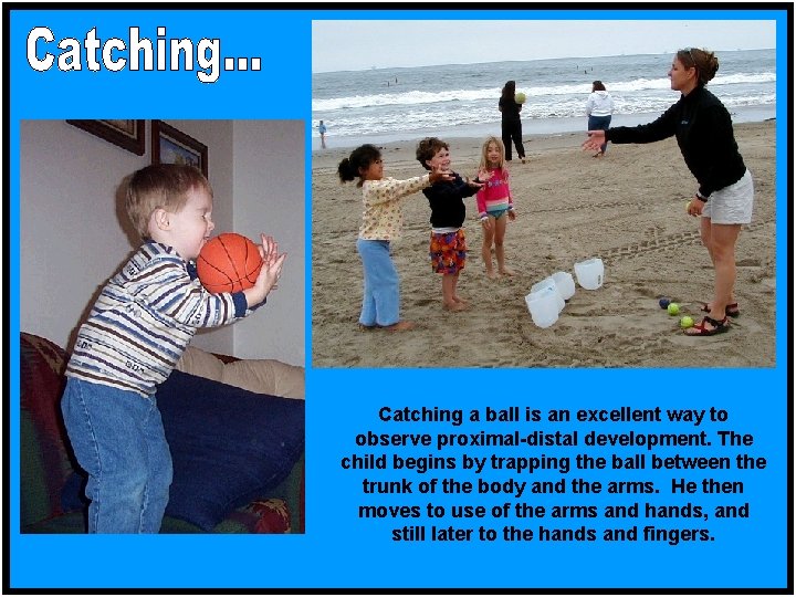 Catching a ball is an excellent way to observe proximal-distal development. The child begins