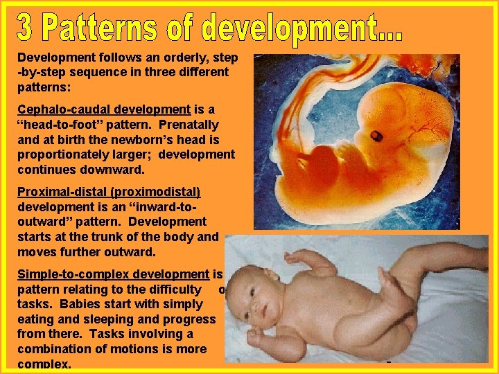 Development follows an orderly, step -by-step sequence in three different patterns: Cephalo-caudal development is