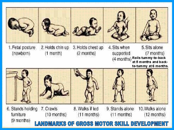 Rolls tummy-to-back at 5 months and backto-tummy at 6 months. 