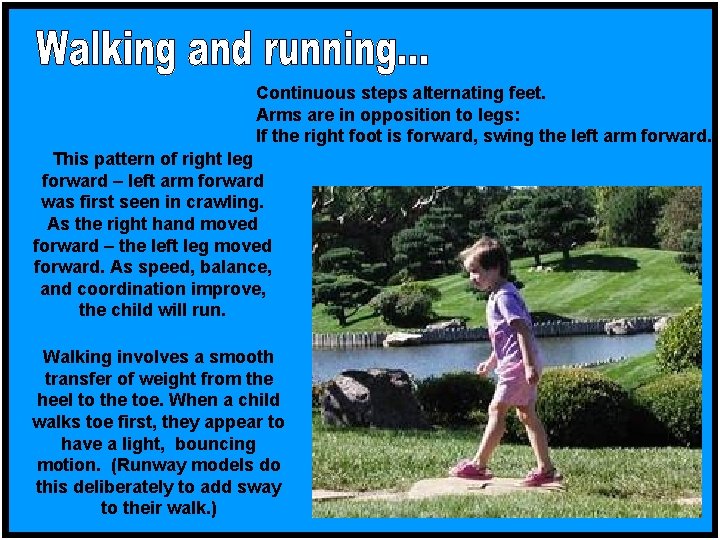 Continuous steps alternating feet. Arms are in opposition to legs: If the right foot