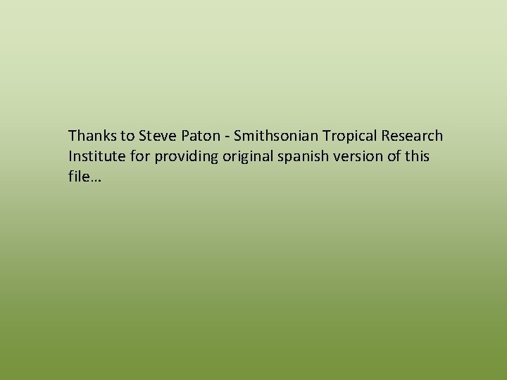 Thanks to Steve Paton - Smithsonian Tropical Research Institute for providing original spanish version