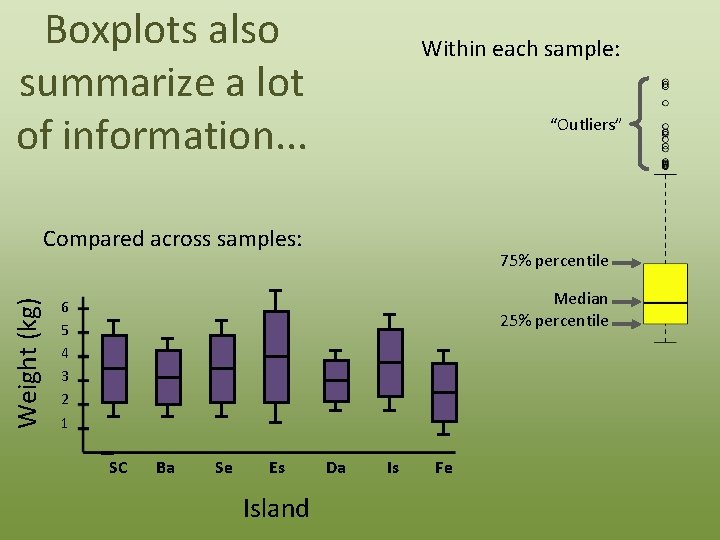 Boxplots also summarize a lot of information. . . Within each sample: “Outliers” Weight