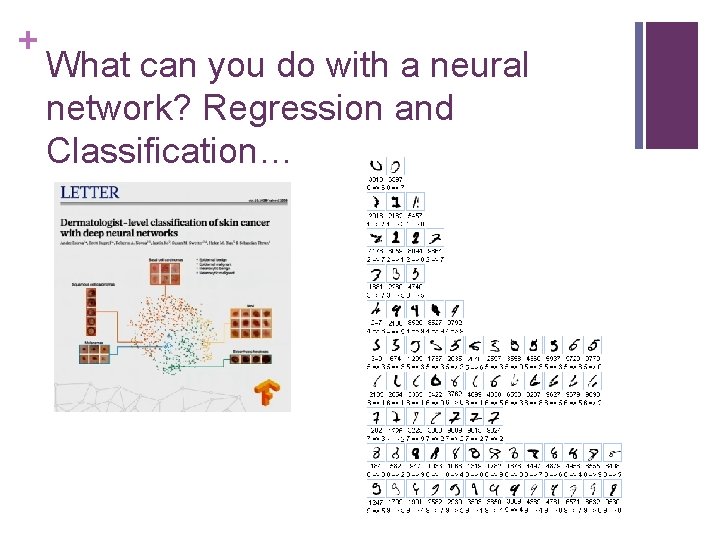 + What can you do with a neural network? Regression and Classification… 