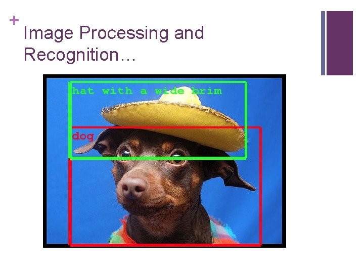 + Image Processing and Recognition… 