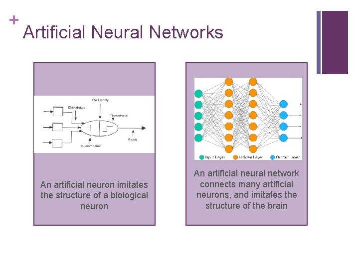 + Artificial Neural Networks An artificial neuron imitates the structure of a biological neuron