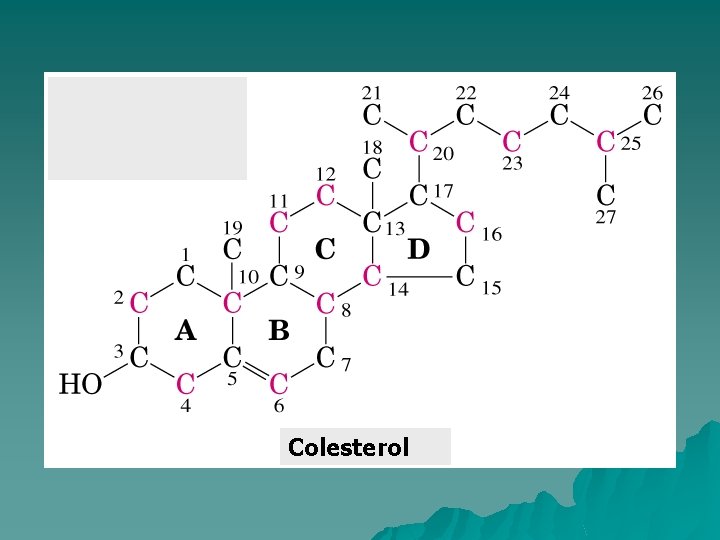 Colesterol 