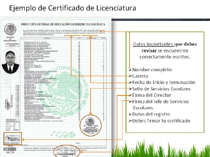 Ejemplo de Certificado de Licenciatura 