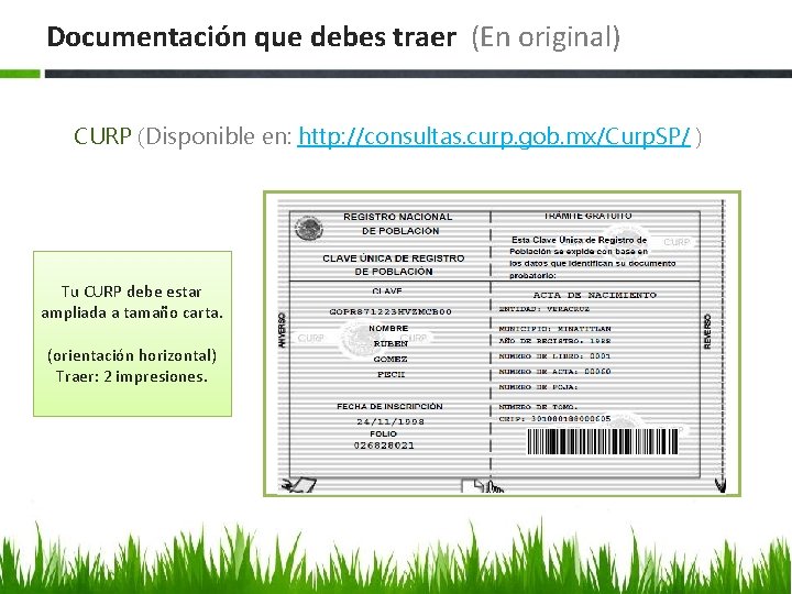 Documentación que debes traer (En original) CURP (Disponible en: http: //consultas. curp. gob. mx/Curp.