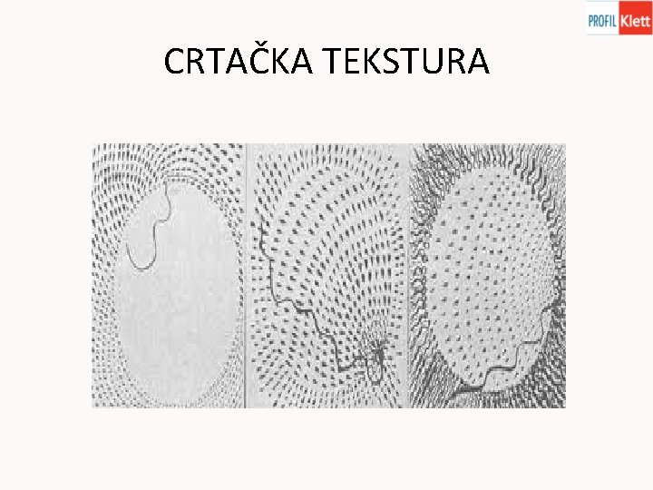 CRTAČKA TEKSTURA CRTAČKA TEKSTURA